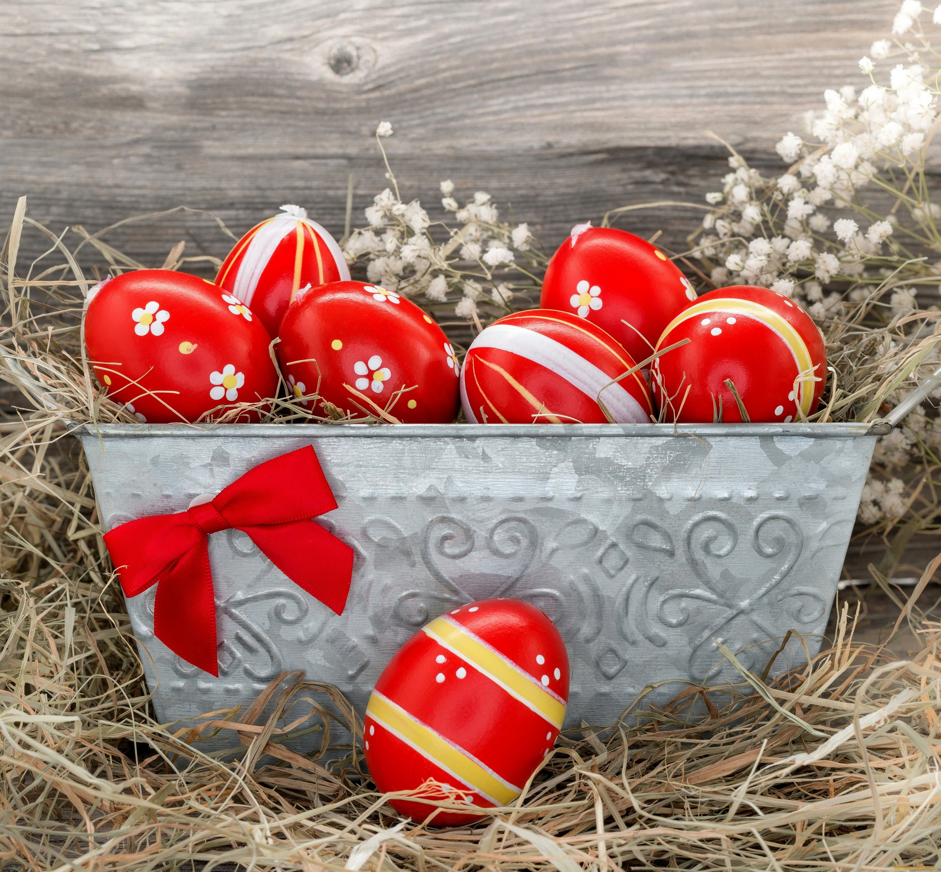 , , flowers, eggs, easter, tulips, red, card